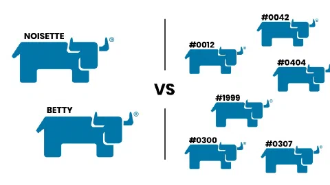 Image illustrating the blogpost