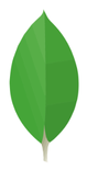 MongoDB Logo MongoDB